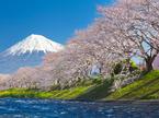 Japonska, gora fuji