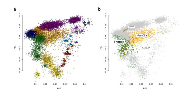 Grafa sta objavljena na 58. strani v dodatku študije Dokazi o dinastičnem nasledstvu med zgodnjimi keltskimi elitami v srednji Evropi (ang. Evidence for dynastic succession among early Celtic elites in Central Europe). Do dodatka lahko pridemo s pomočjo povezave, ki je objavljena v osnovni študiji. Za bolj podroben ogled grafov kliknite na fotografijo, da jo povečate. | Foto: Joscha Gretzinger, Felicitas Schmitt, Angela Mötsch in sodelavci