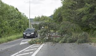 Deževno in vetrovno vreme povzroča nevšečnosti: plazovi in podrta drevesa