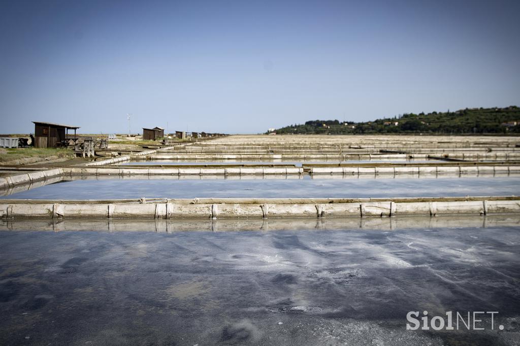 Sečoveljske soline