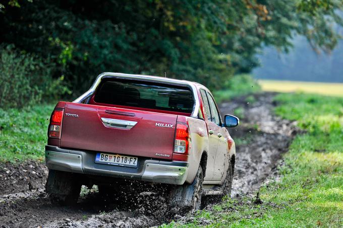 Ob pravi obutvi boste, skoraj bi si upali to trditi, prej odnehali vi kot pa on. Ja, na terenu je ta hip prvak. | Foto: Jure Gregorčič