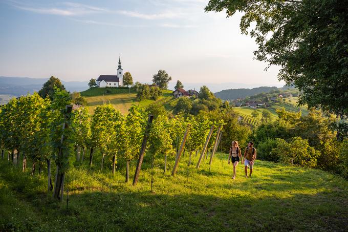 Vinji vrh. Foto: Jošt Gantar | Foto: 