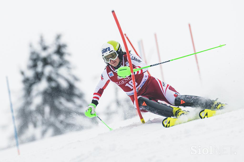 Zlata lisica, slalom