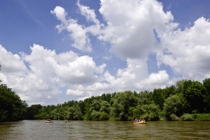 Reka Mura, ki ji številni pravijo kar evropska Amazonka in je pod okriljem Unesca, očara z izjemnim rastlinskim in živalskim svetom. Doživite jo lahko kar iz čolna. | Foto: 