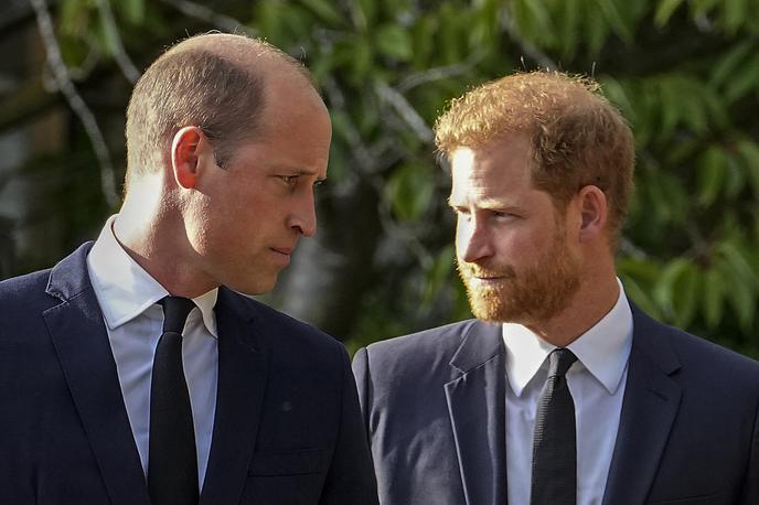 Princa William in Harry | Princ William bratovega imena v javnosti ni izgovoril vse od leta 2018, ko sta se skupaj udeležila foruma kraljeve fundacije. | Foto Guliverimage