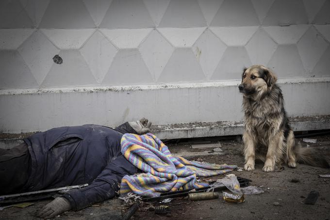 Odkritje trupel na stotine pomorjenih ukrajinskih civilistov v mestu Buča po umiku ruske vojske iz okolice Kijeva ni ustavilo pogovorov med Ukrajino in Rusijo. | Foto: Guliverimage/AP