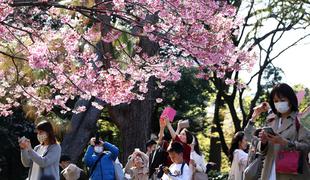 Kaj je sprožilo drugi val okužb na Japonskem? #intervju