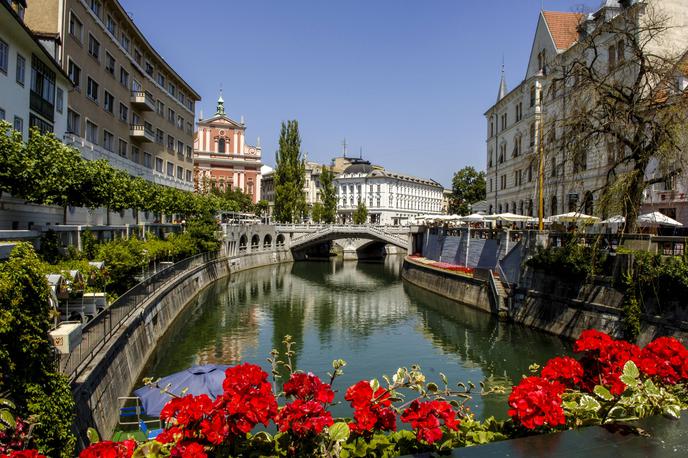 Ljubljana nepremičnine | V tekmo za župana prestolnice se je letos podalo devet kandidatov. | Foto Guliverimage