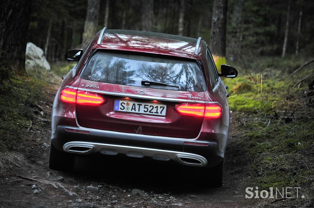 Mercedes-Benz E All-Terrain - gozd