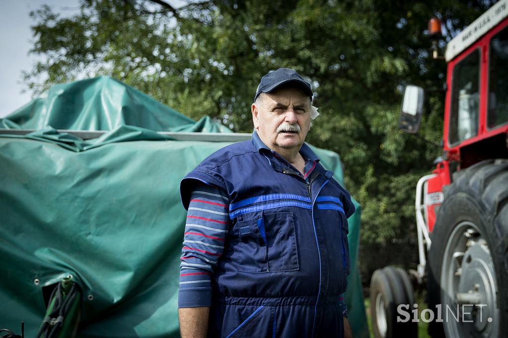 Kmetija majerič Branko Ptuj Ptujski lük čebula ohranitveno kmetijstvo