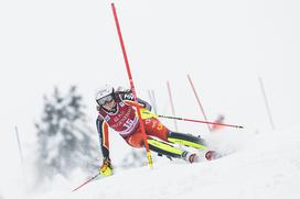 Zlata lisica, slalom