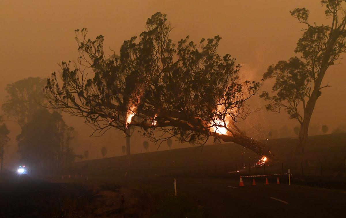 Požar v Avstraliji | Foto Reuters