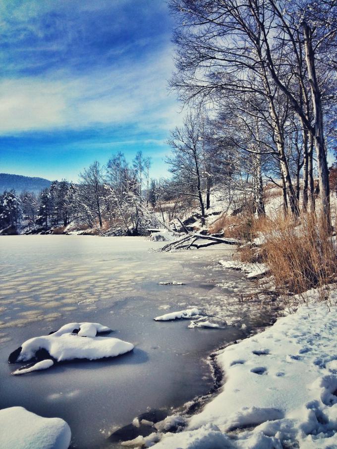 Glede na to, da prihaja iz Kočevja, je čustveno najbolj navezana na Kočevsko jezero. Navezanost nanj ima globlje, družinsko ozadje. Mančin dedek je bil namreč kar 17 let direktor rudnika rjavega premoga, ki je bil do leta 1979 na območju današnjega jezera.  | Foto: www.mojajezera.si