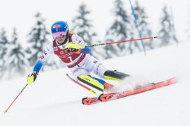 Zlata lisica, slalom