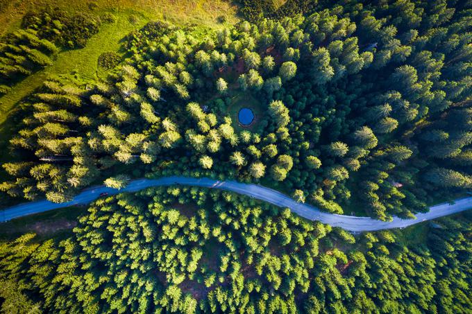 K povečanju vsebnosti CO2 v ozračju so največ prispevala fosilna goriva in civilizacijske spremembe ekosistemov, kot je uničenje gozdov. S tem se zmanjša zmožnost gozdov, da iz ozračja izločijo CO2. | Foto: Getty Images