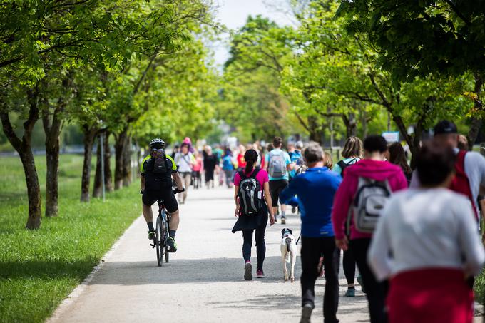 pohod pot ob žici 2019 | Foto: Peter Podobnik/Sportida