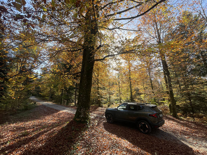 Dacia duster | Foto: Gregor Pavšič