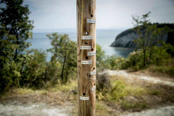 Edinstven daljnogled nas usmerja po čudovitem razgledu s terase nad polkrožnim zalivom. | Foto: Ana Kovač