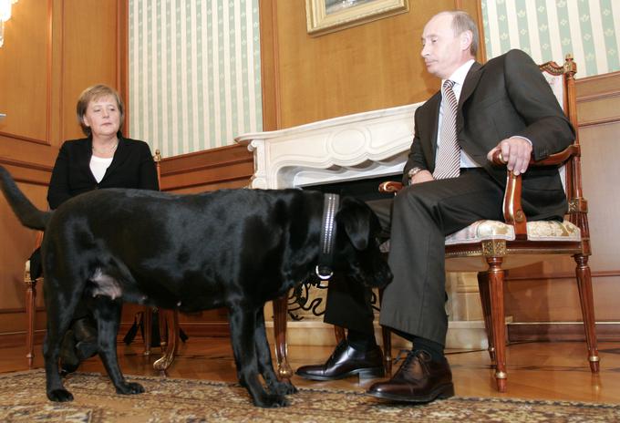 vladimir putin, angela merkel, koni | Foto: YouTube