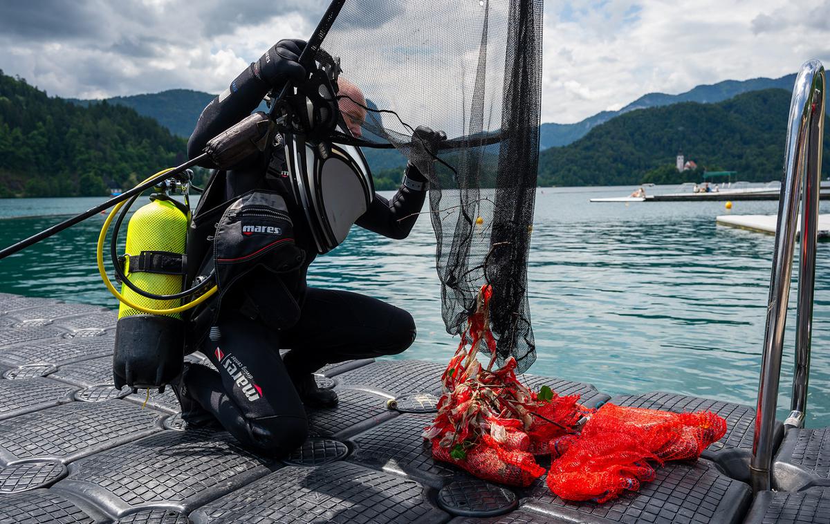 Blejsko jezero | Čistilna akcija Blejskega jezera poteka že tri desetletja in velja za najstarejšo okoljsko akcijo v Sloveniji. | Foto STA