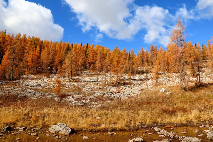 Ob poti proti Ledvici | Foto: Matej Podgoršek