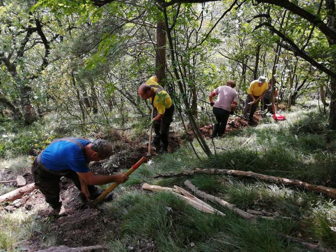 Urejanje zmagovalne poti leta 2019. Vsak markacist povprečno skrbi za kar deset kilometrov planinskih poti. | Foto: Zavarovalnica Triglav