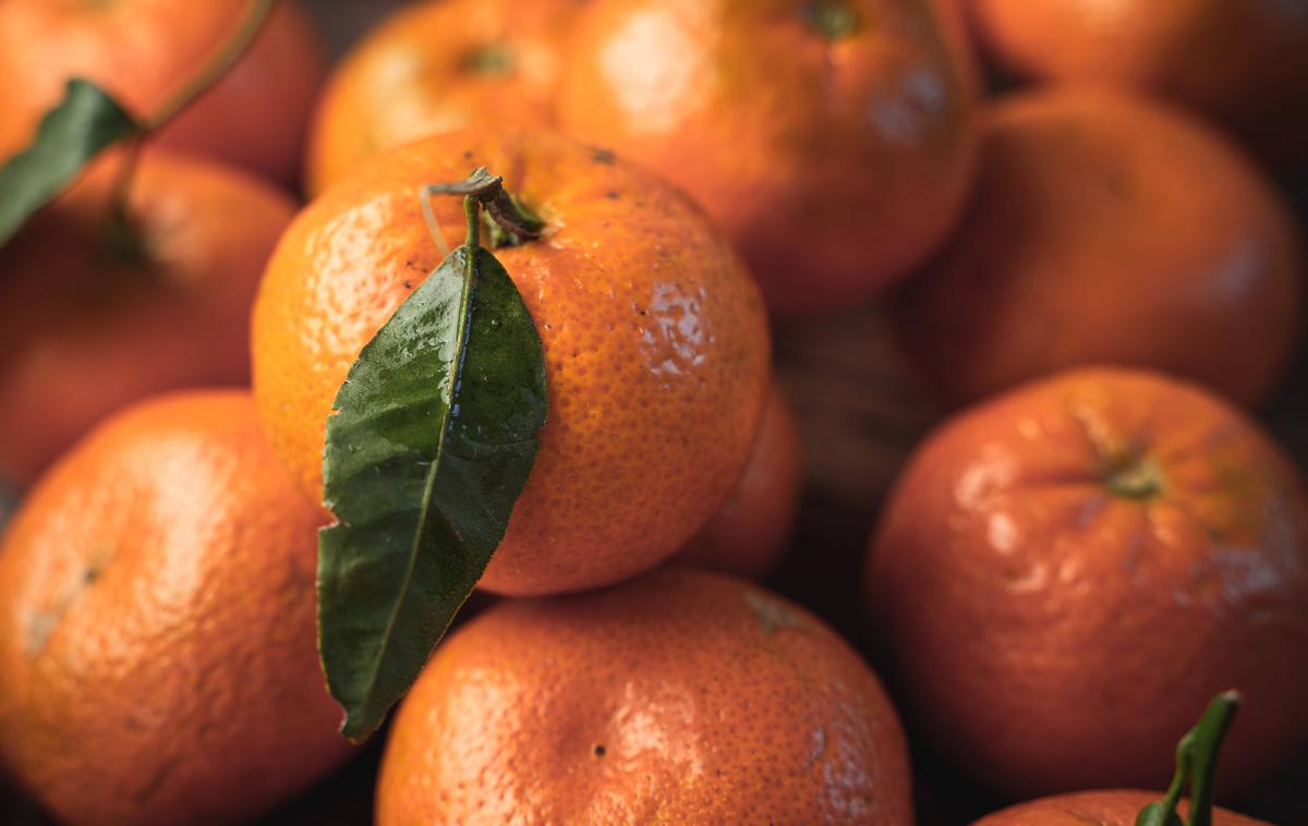 Mandarine | V komunalnem podjetju Čistoća Metković so za Novo TV povedali, da so doslej sprejeli že več kot 3.700 ton mandarin. | Foto Guliverimage