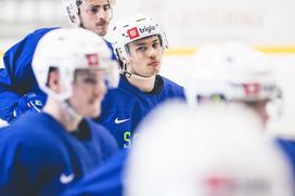 Zbor slovenske hokejske reprezentance, Bled