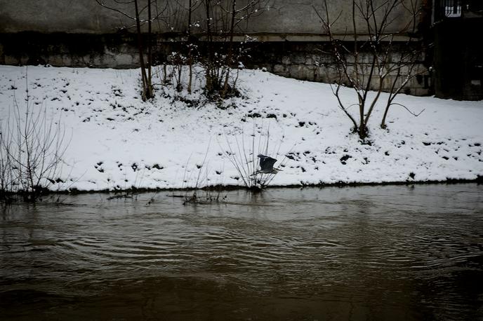 Sneg v Ljubljani, sneženje, zima | Foto Ana Kovač