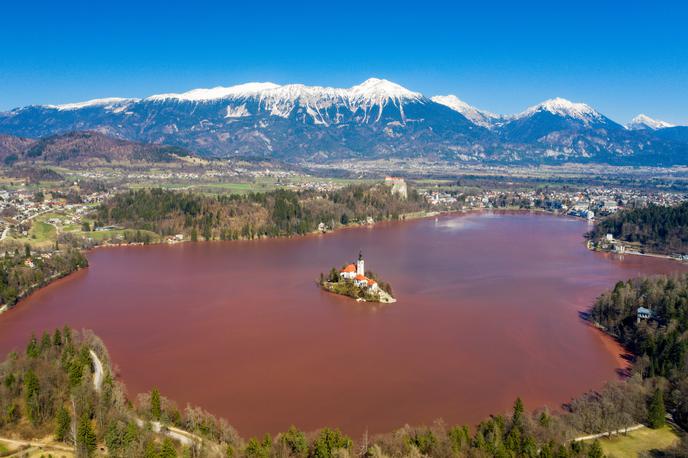 Bled - cvetenje | Pogled na blejski biser je bil pretekli teden nenavaden. | Foto Matic Klanšek Velej/Sportida