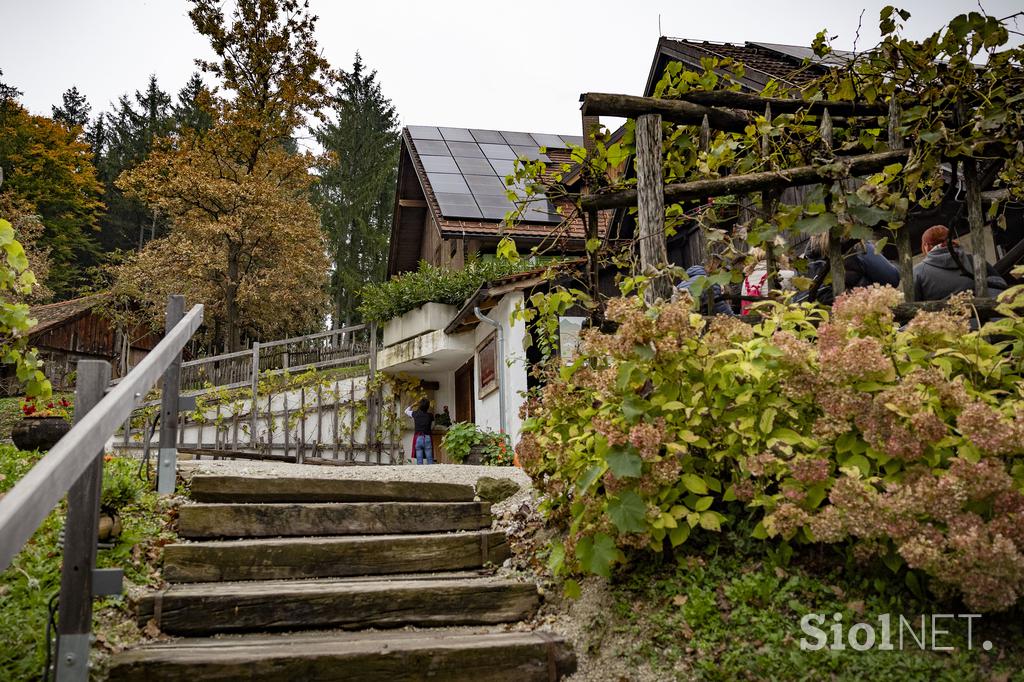 turistična kmetija pomona