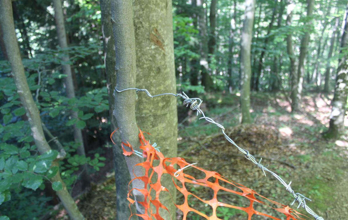 Ruše mreža žica | Foto PP Ruše