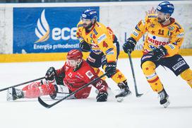 HDD Jesenice Asiago finale Alpska liga