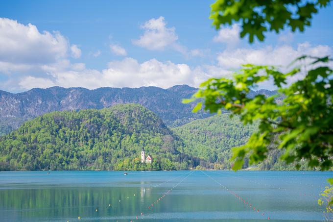 Bled | Foto: Veslaška zveza Slovenije