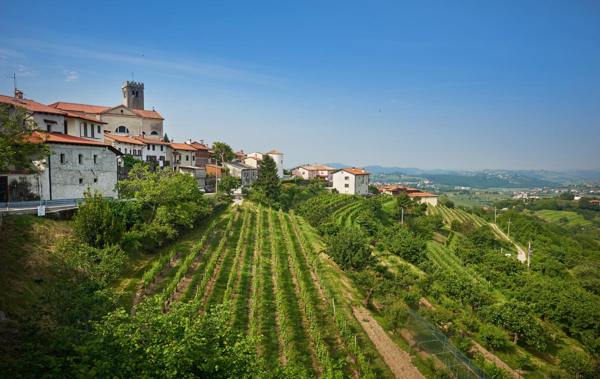 Goriška brda | Foto Tomo Jeseničnik (www.slovenia.info)