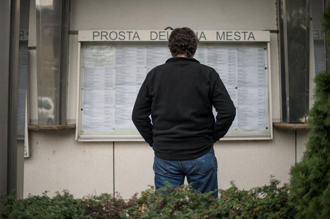 Vse več Slovencev in Slovenk se odloča tudi za sezonska dela. | Foto: Matej Leskovšek