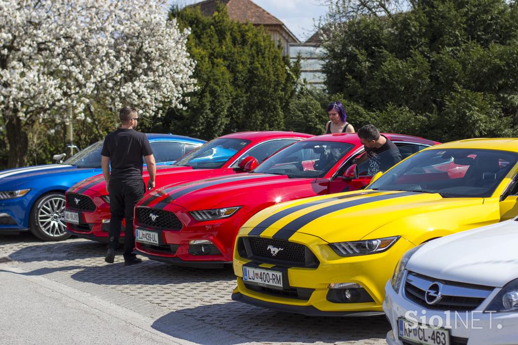 ford mustang