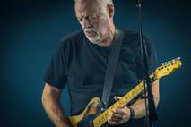 David Gilmour