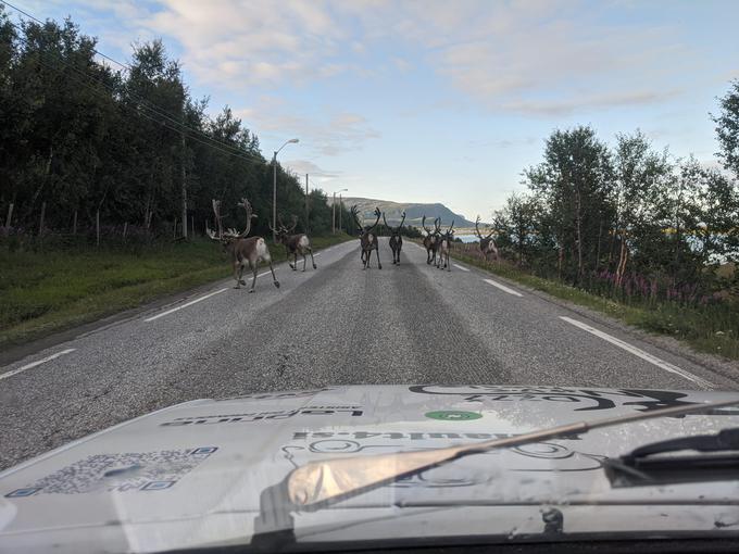 Zastava yugo Nordkapp | Foto: osebni arhiv Blaž Košir