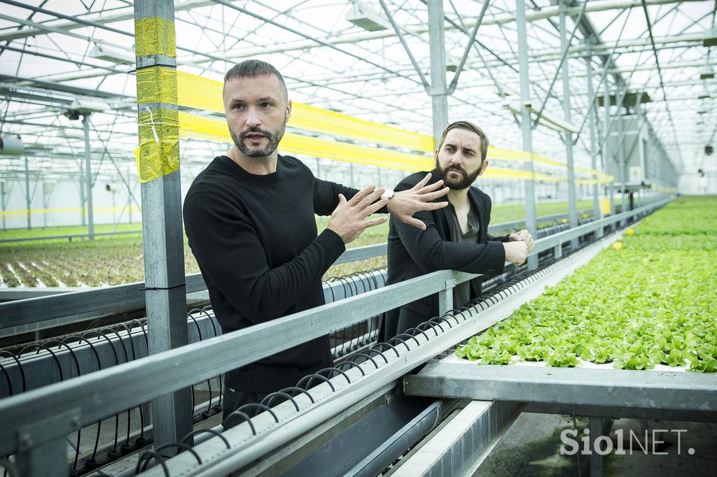 PanOrganix rastlinjaki Ljutomer solata Živa