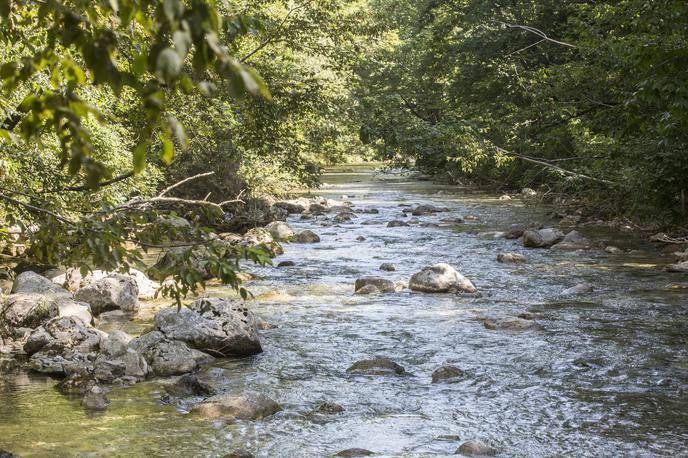 Ig koliščarji iški vintgar kurešček | Foto Matej Leskovšek