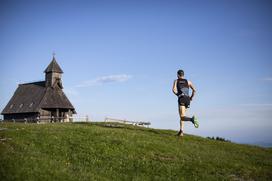 Rifter, Velika planina