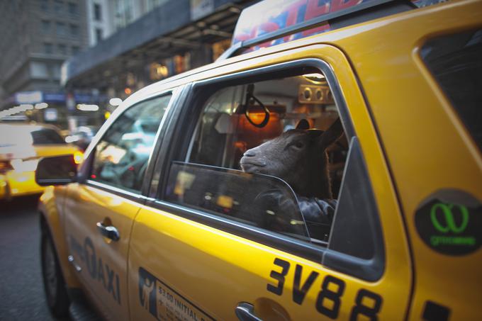 New York, Združene države Amerike | Foto: Reuters