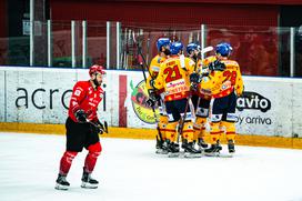 HDD Jesenice Asiago Alpska liga polfinale