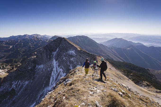 Intersport pohodniške palice | Foto: 