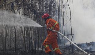 Sever Sardinije zajeli gozdni požari