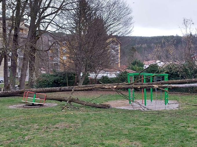 Sunki burje so v soboto zvečer podrli več dreves. | Foto: STA/Katja Kodba