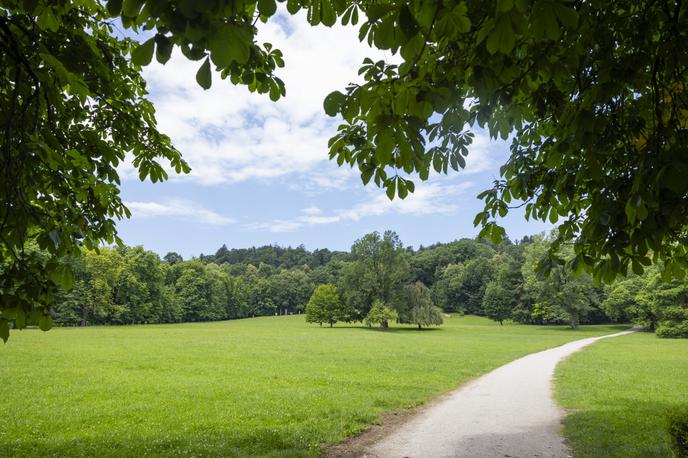 Tivoli, Ljubljana | Novela dovoljuje izvajanje prireditev na petih lokacijah, o negativnih vplivih prireditev na stanje živalskih vrst in njihovih habitatov ter varstvo naravnih virov pa bo presojal mestni oddelek za varstvo okolja in ne več zavod za varstvo narave. | Foto STA