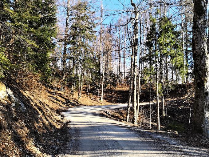 Del ceste z Vojskega nad Idrijo proti Predmeji, nekoč del skoraj 50 kilometrov dolge preizkušnje relija Saturnus. Uporabljali so jo od leta 1985 do 1987. | Foto: Gregor Pavšič