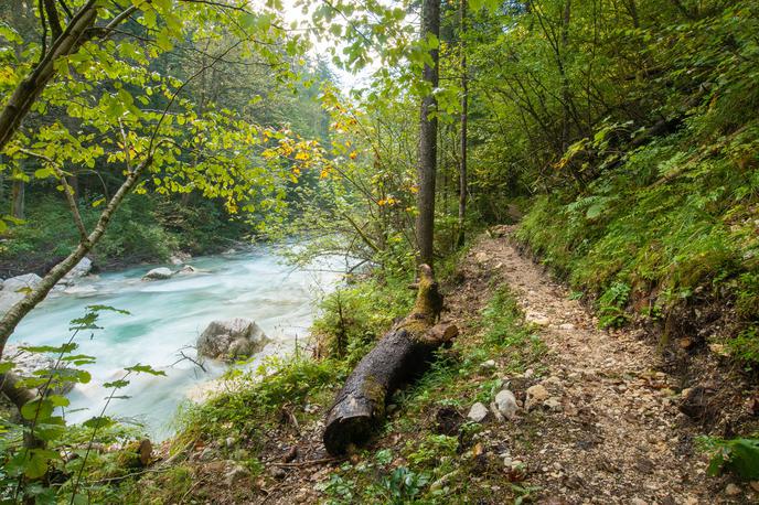 Koželjeva pot | Koželjeva pot | Foto Zavarovalnica Triglav